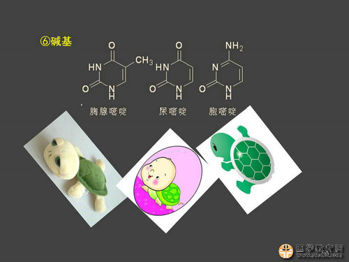 執(zhí)業(yè)藥師藥物化學官能團-記憶技巧