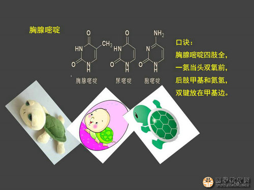 執(zhí)業(yè)藥師藥物化學官能團-記憶技巧