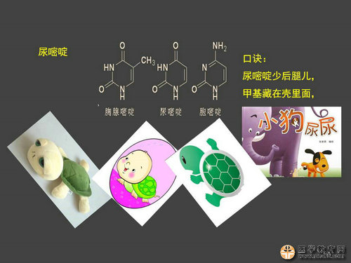 執(zhí)業(yè)藥師藥物化學官能團-記憶技巧