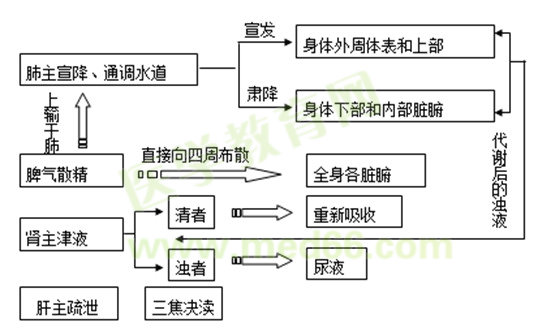 生命活動(dòng)的基本物質(zhì)