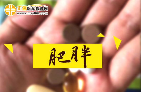 記住這五點 幫你做好對肥胖癥孩子的護(hù)理