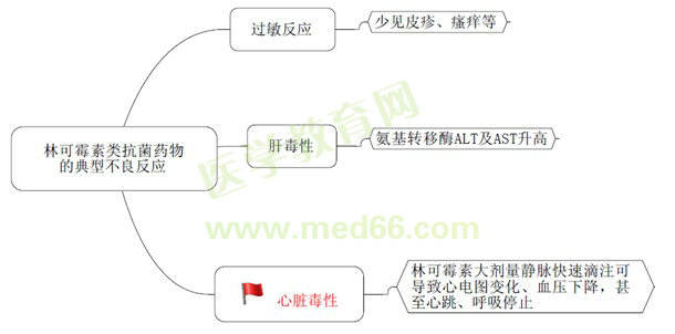 《藥學(xué)專業(yè)知識（二）》“那點小事兒”