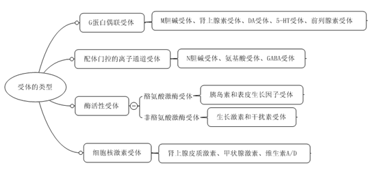 藥物作用與受體