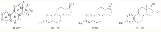 醫(yī)學(xué)教育網(wǎng)整理