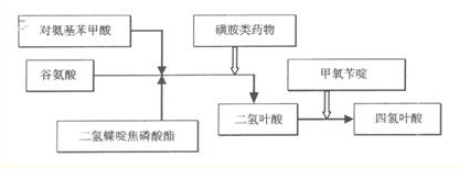 醫(yī)學(xué)教育網(wǎng)整理磺胺類藥物