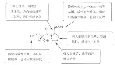 ace抑制劑構(gòu)造關(guān)系