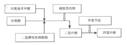 磺胺類藥物作化學(xué)過程