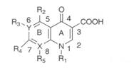 喹諾酮類抗菌藥的構(gòu)效關(guān)系 