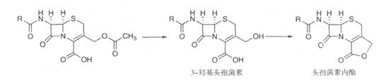 頭孢菌素失去抗菌活性