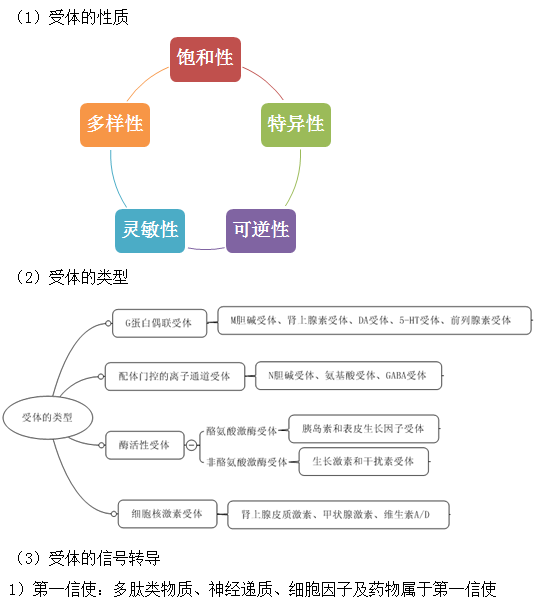 藥物作用與受體--執(zhí)業(yè)藥師輔導(dǎo)精華