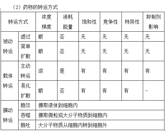 藥物體內(nèi)過(guò)程基礎(chǔ)知識(shí)--執(zhí)業(yè)藥師考試知識(shí)點(diǎn)