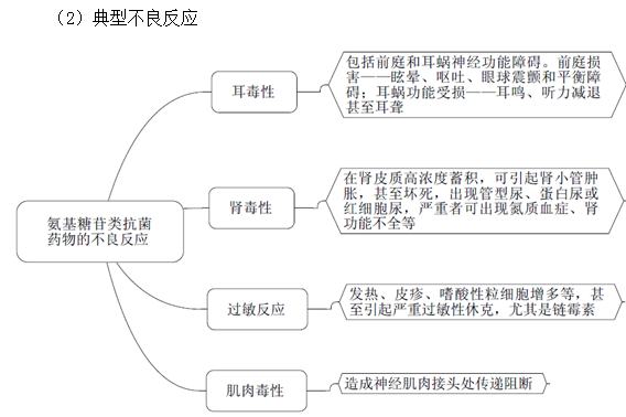 氨基糖苷類抗菌藥物作用機(jī)制及特點(diǎn)