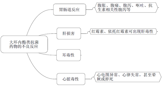 大環(huán)內(nèi)酯類抗菌藥物作用機制/不良反應(yīng)