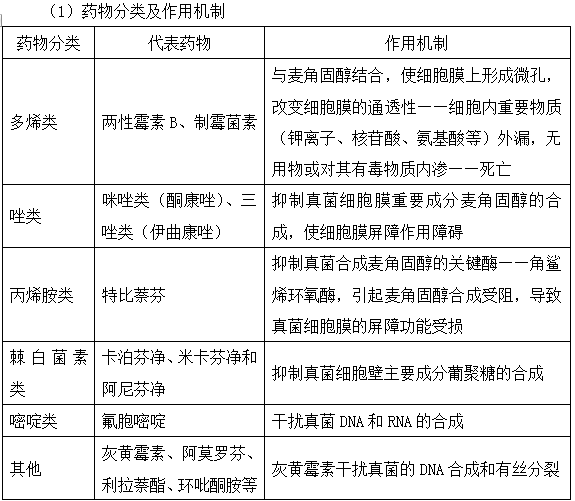 抗真菌藥的作用機(jī)制