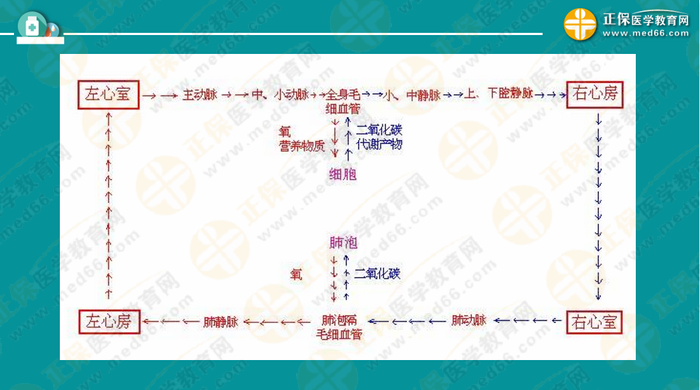 醫(yī)療衛(wèi)生考試筆試備考指導(dǎo)來了，共計2863頁書！怎么學(xué)？