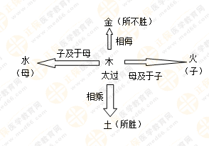 專業(yè)師資帶你學(xué)（五）：執(zhí)業(yè)藥師《中藥綜》五行學(xué)說！學(xué)習(xí)要有方法！