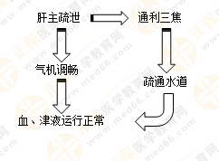 《中藥學(xué)綜合知識與技能》的藏象