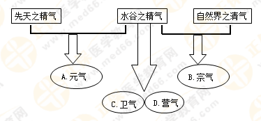 專業(yè)師資帶你學(xué)（八）：執(zhí)業(yè)藥師《中藥綜》生命活動(dòng)的基本物質(zhì)！善用圖解！