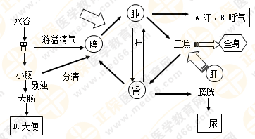 專業(yè)師資帶你學(xué)（八）：執(zhí)業(yè)藥師《中藥綜》生命活動(dòng)的基本物質(zhì)！善用圖解！