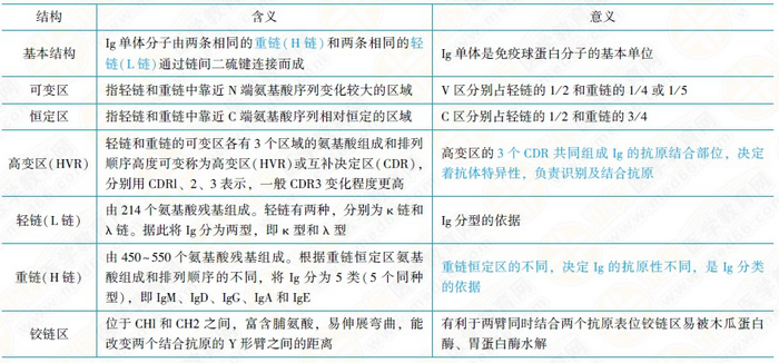 免疫球蛋白的結(jié)構和功能