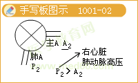 實踐技能輔導精華