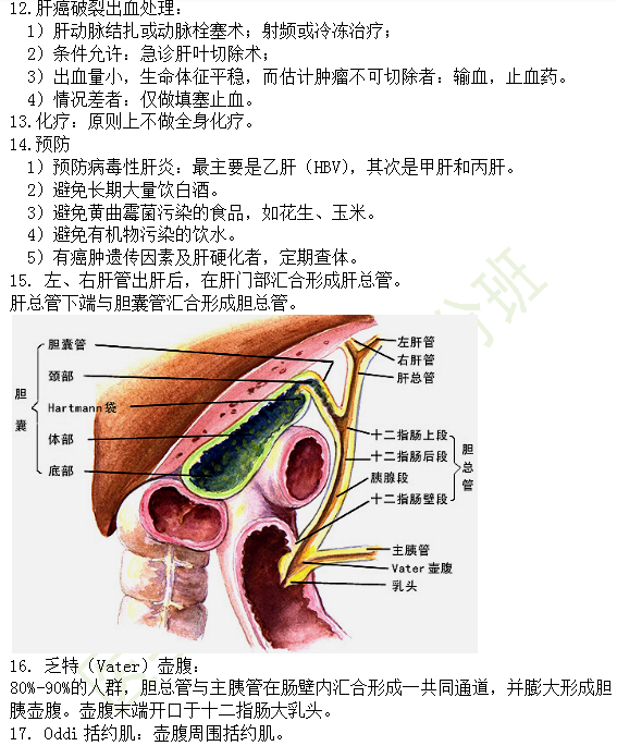 30個有關(guān)肝炎、膽囊炎相關(guān)考點(diǎn)匯總-臨床執(zhí)業(yè)醫(yī)師消化系統(tǒng)第九期！