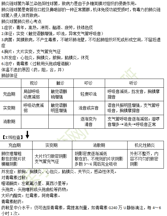 肺炎鏈球菌