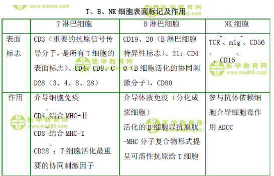 T、B、NK細(xì)胞表面標(biāo)記及作用