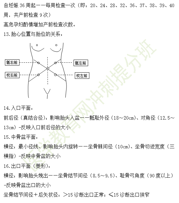 妊娠診斷