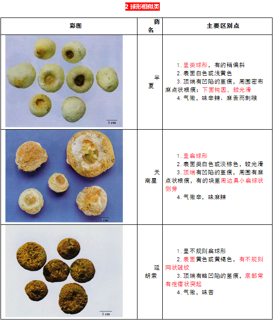 每日沖刺計(jì)劃！2019執(zhí)業(yè)藥師《中藥學(xué)專業(yè)知識二》第一篇！