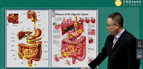 【視頻】2019年臨床執(zhí)業(yè)醫(yī)師消化系統(tǒng)科目特點(diǎn)及復(fù)習(xí)建議