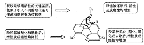 嗎啡的構效關系