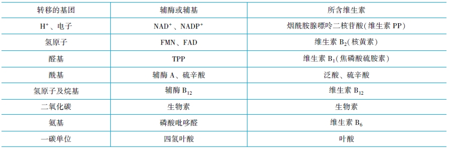 輔酶和輔助因子及酶促反應動力學