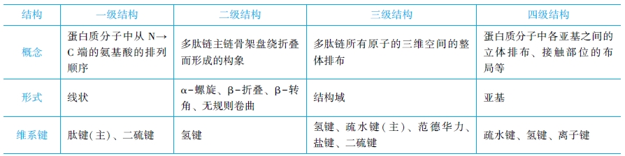 蛋白質(zhì)分子結(jié)構(gòu)的比較