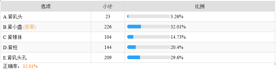 腎實質(zhì)的結(jié)構(gòu)不包括