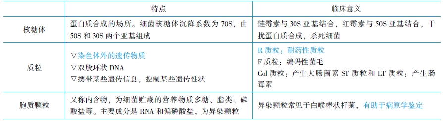 細菌細胞結構的醫(yī)學意義