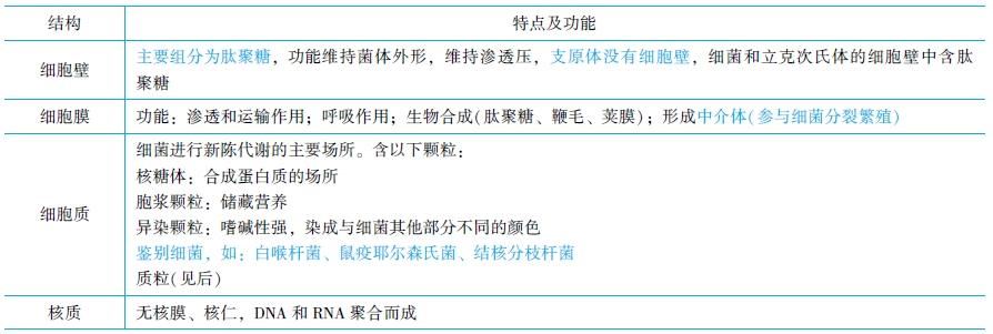 細菌的基本機構與肽聚糖結構