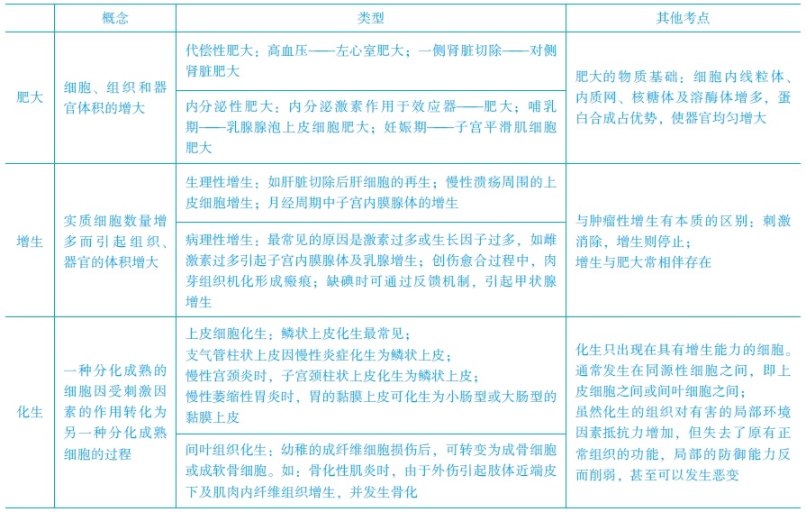 增生、化生和肥大的常見考點　