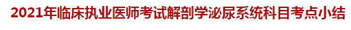 2021年臨床執(zhí)業(yè)醫(yī)師考試解剖學(xué)泌尿系統(tǒng)科目考點(diǎn)小結(jié)