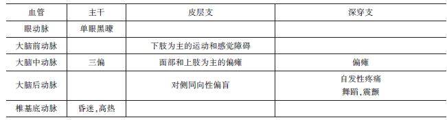 不同動脈支配區(qū)梗死的臨床表現(xiàn)