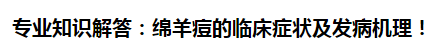 專業(yè)知識(shí)解答：綿羊痘的臨床癥狀及發(fā)病機(jī)理！