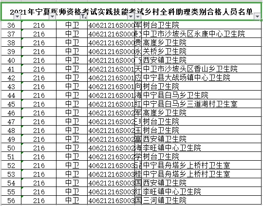 中衛(wèi)市鄉(xiāng)村全科助理醫(yī)師技能合格名單