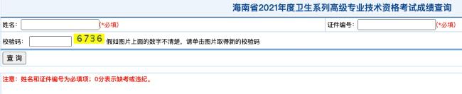 海南省2021年度衛(wèi)生系列高級(jí)專業(yè)技術(shù)資格考試成績查詢