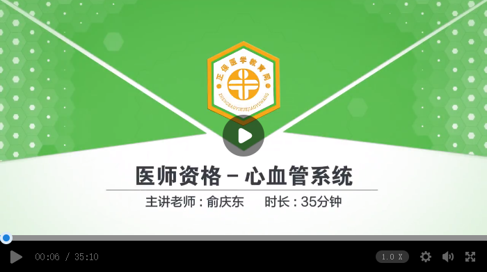 心血管系統(tǒng)