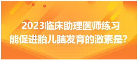 2023臨床助理醫(yī)師練習(xí)-促進(jìn)胎兒腦發(fā)育的激素是？