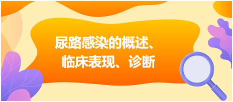 尿路感染的概述、臨床表現(xiàn)、診斷