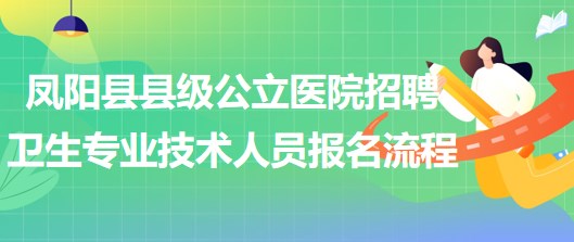 滁州市鳳陽縣縣級公立醫(yī)院招聘衛(wèi)生專業(yè)技術(shù)人員報名流程