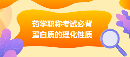 2024藥學職稱考試必背：蛋白質的理化性質