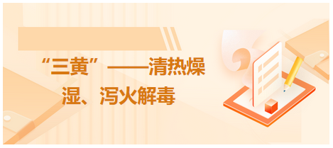 “三黃”——清熱燥濕、瀉火解毒