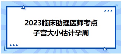 子宮大小估計(jì)孕周